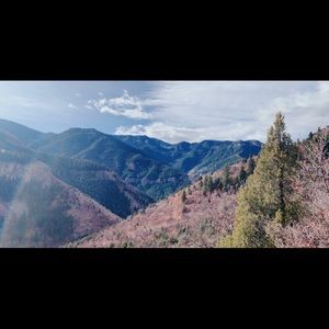 Meet your Posher, Carly